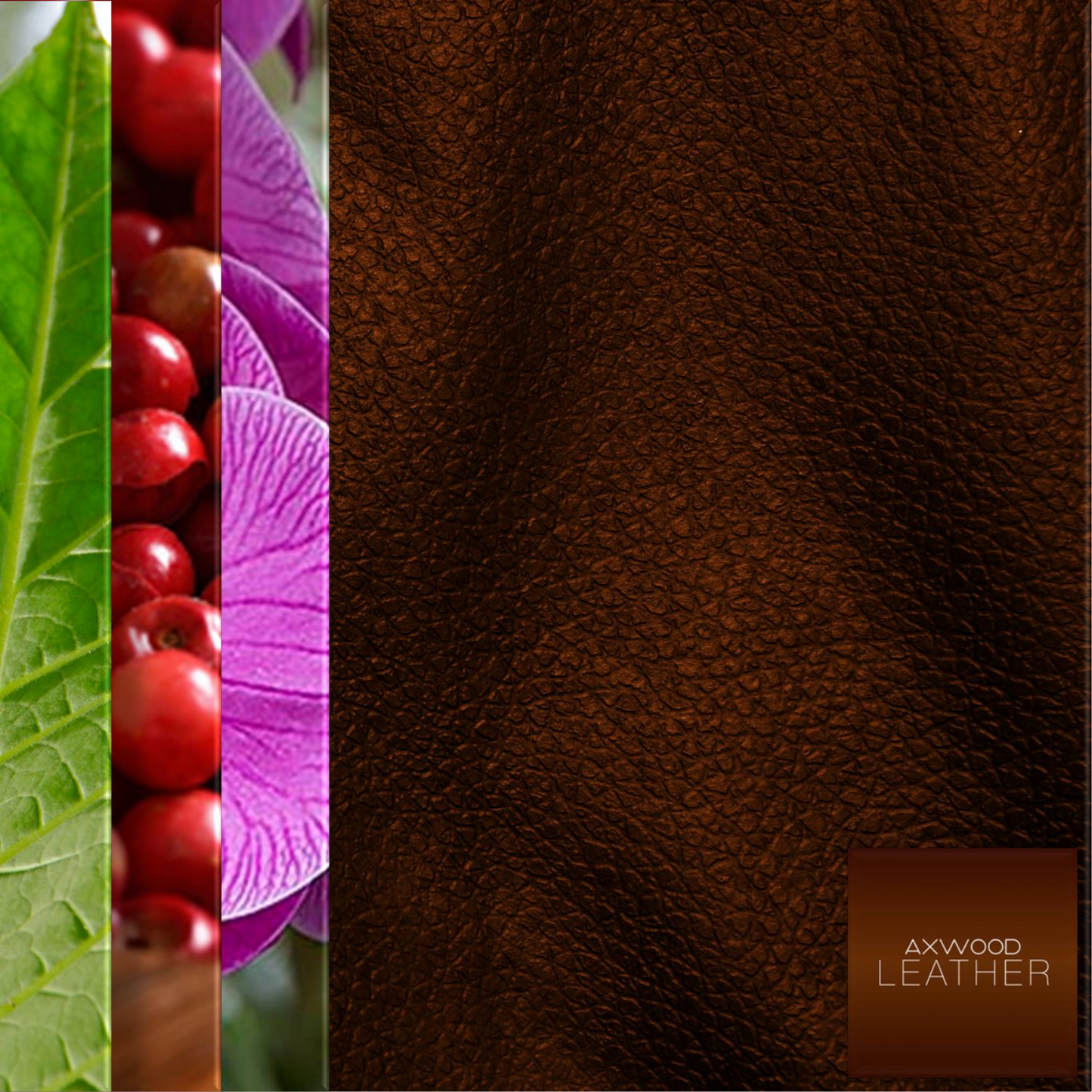 Leather - Eau de parfum (back early 2023)